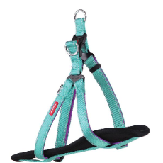Active Nylon Walking Harness Aqua And Purple
