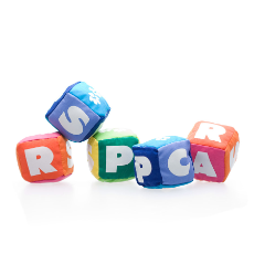 RSPCA Cat Toy, Cube