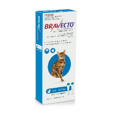Bravecto Spot On Cats 2.8 to 6.25kg Double Pack