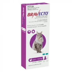 Bravecto Spot On Cats 6.25 to 12.5kg Double Pack