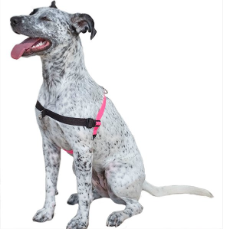 Comfort Stability Training Harness Pink