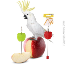 Fruit Spear Mixed Colour