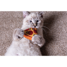 MultiPet Pizza Cat Toy
