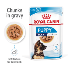 Royal Canin Maxi Puppy Wet Food 140g
