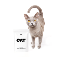 CAT Fibre By Dr Lisa