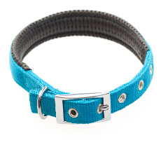 Air Cushion Dog Collar, Turquoise