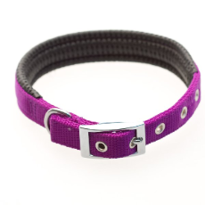 Air Cushion Dog Collar, Purple