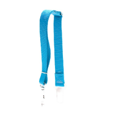 Car Safety Restraint, Turquoise