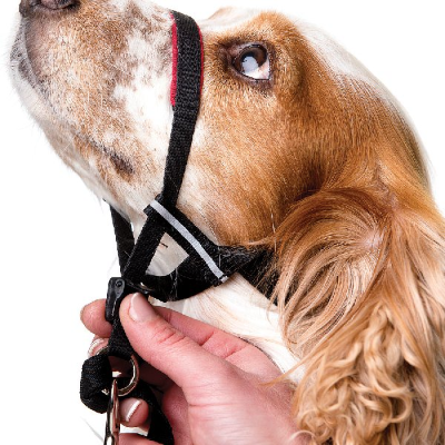 Petlife halti sales